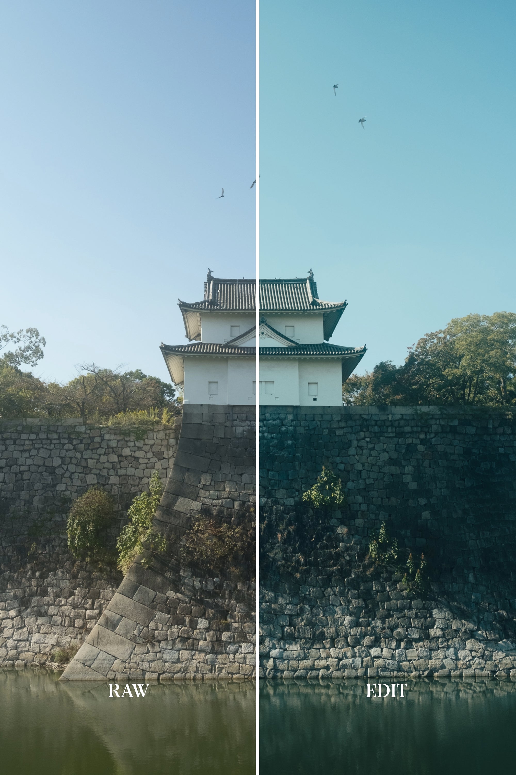 ULTIMATE Adobe Lightroom Preset Bundle