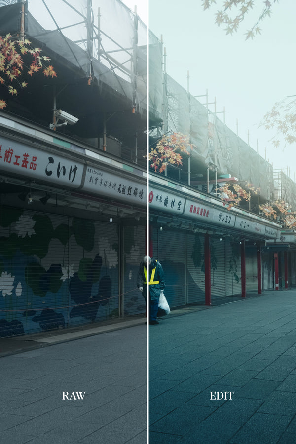 ULTIMATE Adobe Lightroom Preset Bundle