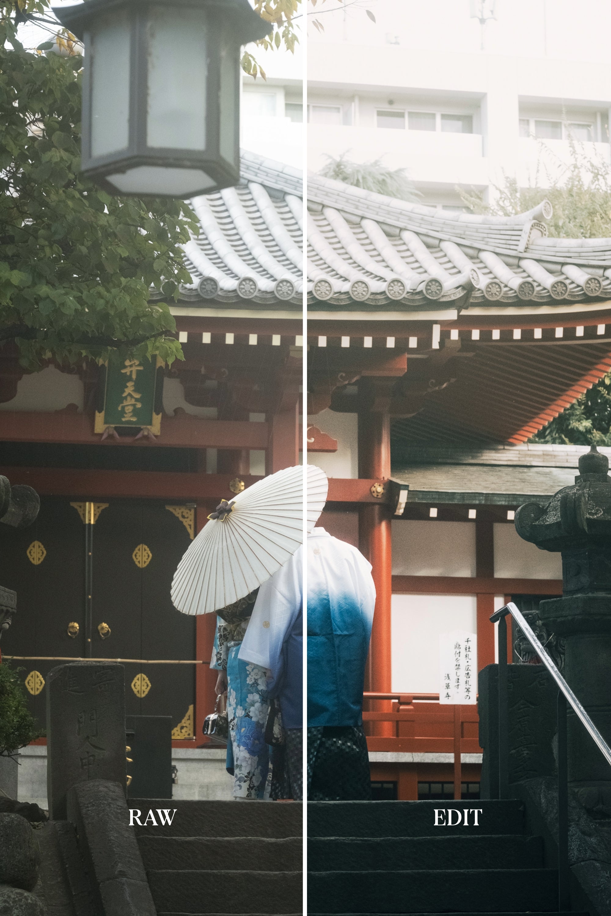 ULTIMATE Adobe Lightroom Preset Bundle