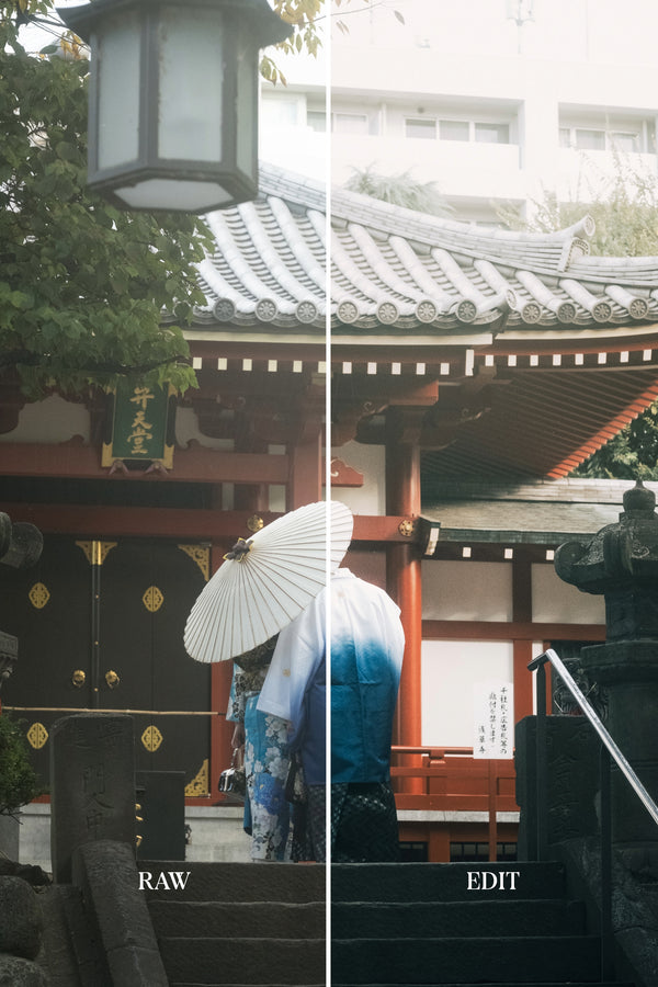 ULTIMATE Adobe Lightroom Preset Bundle