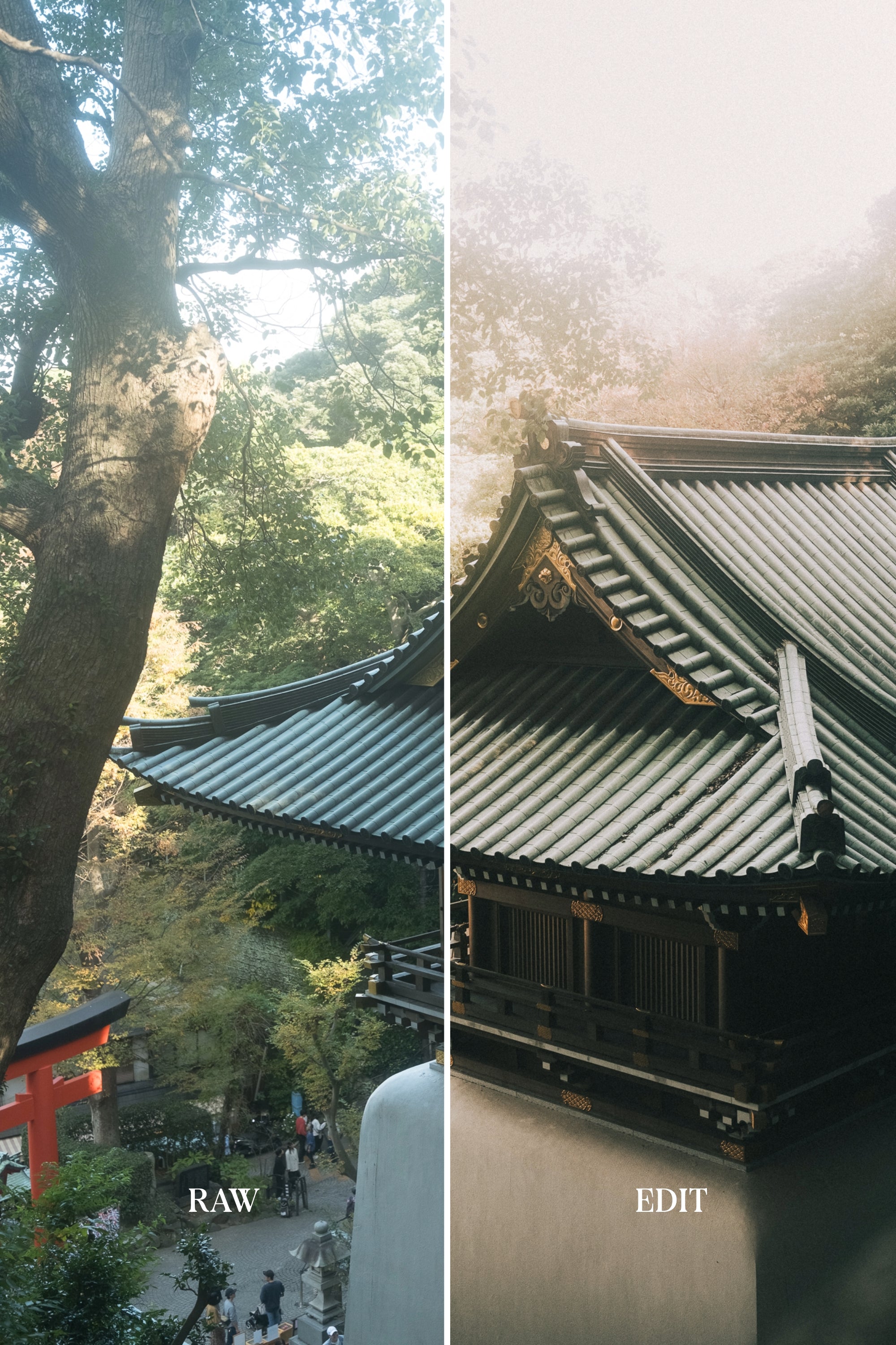 STREET 2 - Adobe Lightroom Preset Pack