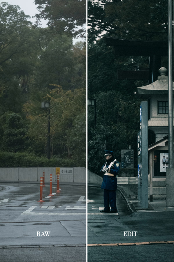 ULTIMATE Adobe Lightroom Preset Bundle