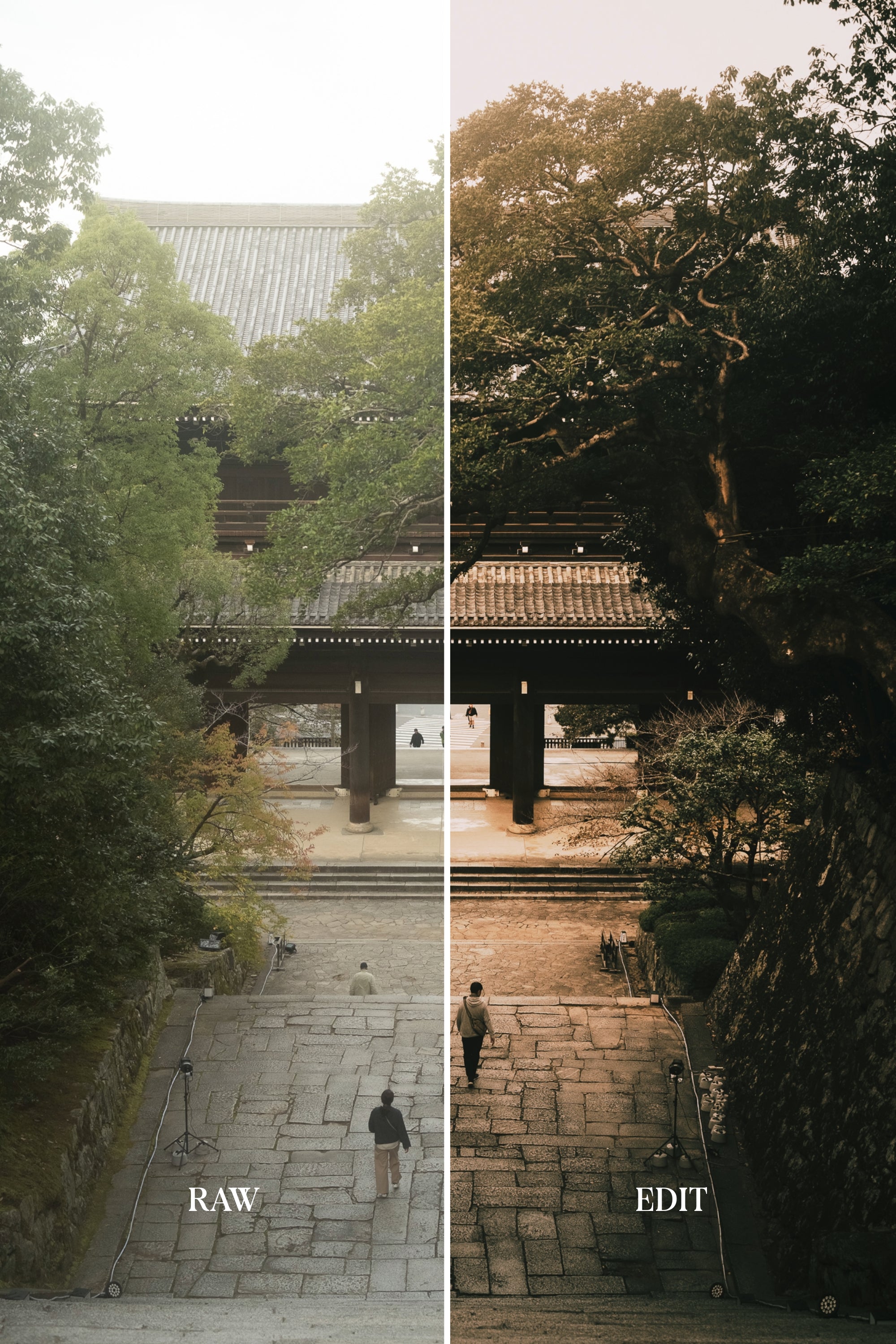 ULTIMATE Adobe Lightroom Preset Bundle