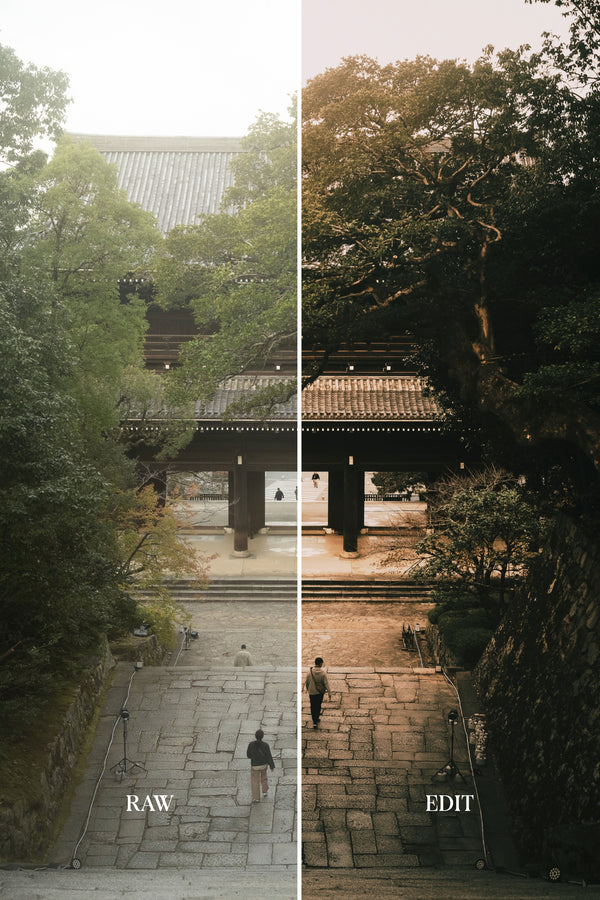 ULTIMATE Adobe Lightroom Preset Bundle